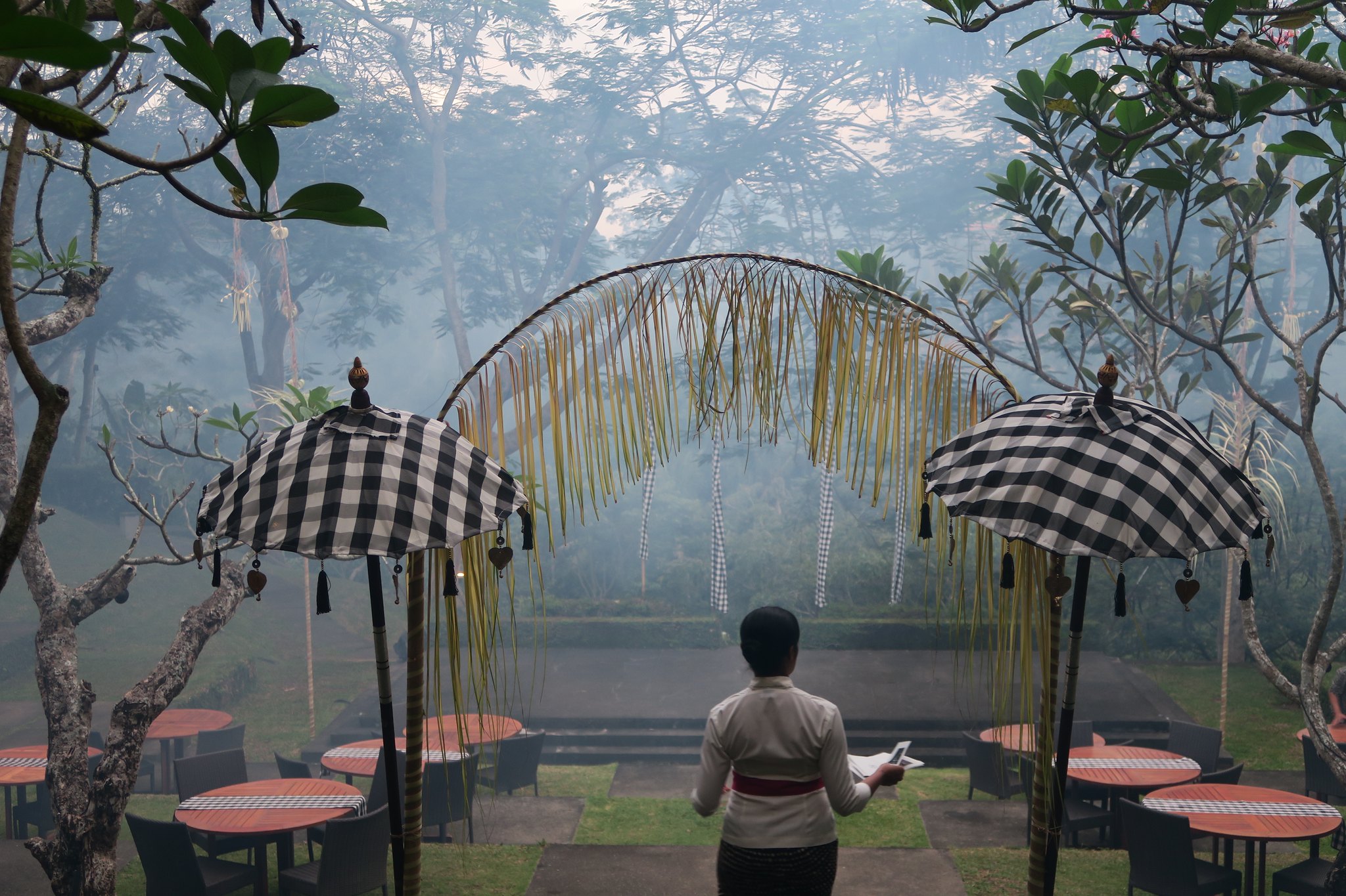 Rice Fields, Clinics, and Quiet Power: Bali 2016