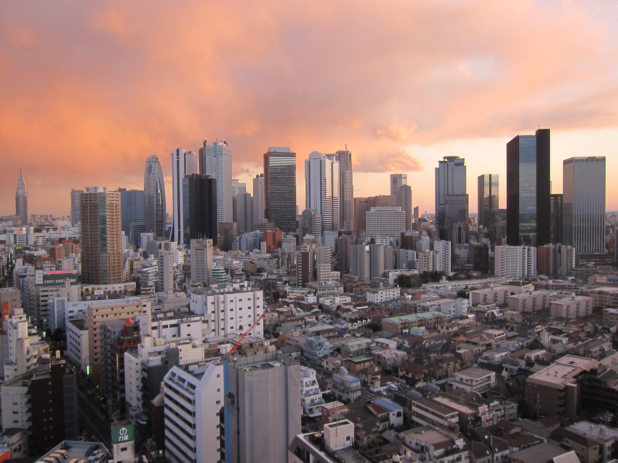 Sakura, Glass Innovation, and the City That Never Explains Itself